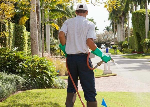 About Glenwood IL Pest Control